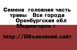 Семена (головная часть))) травы - Все города  »    . Оренбургская обл.,Медногорск г.